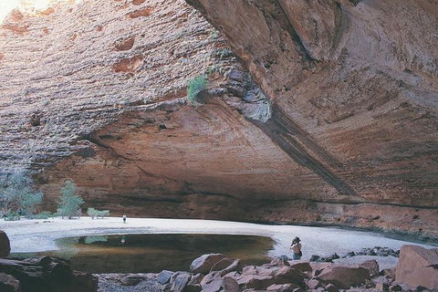 Bungle Bungle Day Trip From Broome - Fly, 4WD, Walk - Northern Rivers Accommodation 1