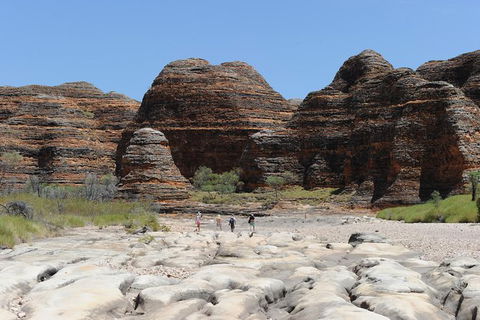 Bungle Bungle Day Trip From Broome - Fly, 4WD, Walk - Northern Rivers Accommodation 4