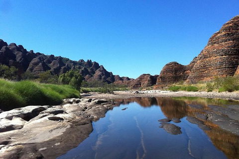 Bungle Bungle Day Trip From Broome - Fly, 4WD, Walk - Northern Rivers Accommodation 2