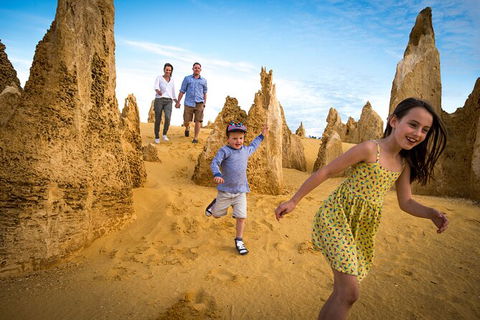 Full-Day Pinnacles Desert And Yanchep National Park Tour From Perth - Northern Rivers Accommodation 6