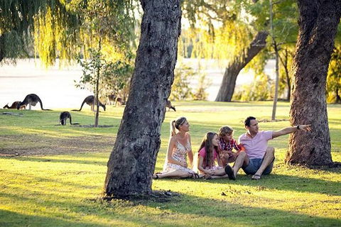 Full-Day Pinnacles Desert And Yanchep National Park Tour From Perth - Northern Rivers Accommodation 1