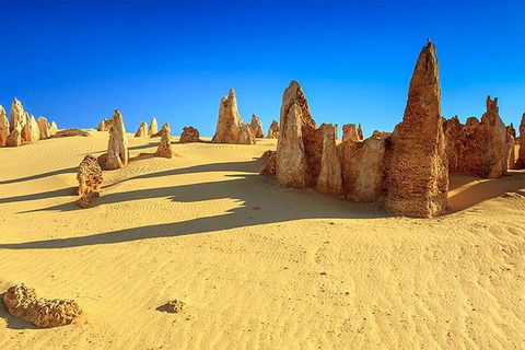Full-Day Pinnacles Desert And Yanchep National Park Tour From Perth - Northern Rivers Accommodation 0