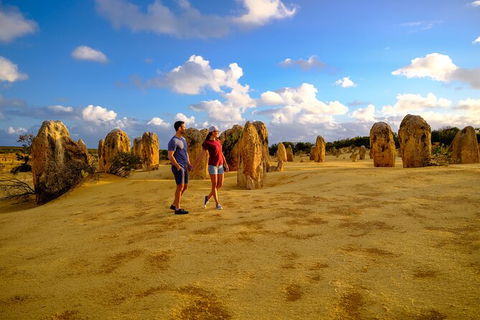 Full-Day Pinnacles Desert And Yanchep National Park Tour From Perth - Northern Rivers Accommodation 5