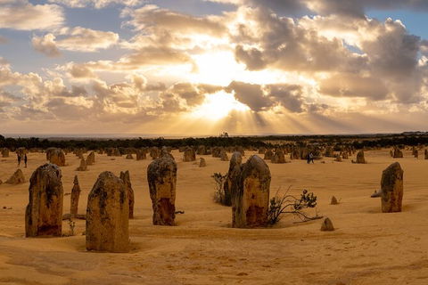 Full-Day Pinnacles Desert And Yanchep National Park Tour From Perth - Northern Rivers Accommodation 4