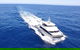 Bremer Canyon Killer Whale (Orca) Expedition - thumb 1