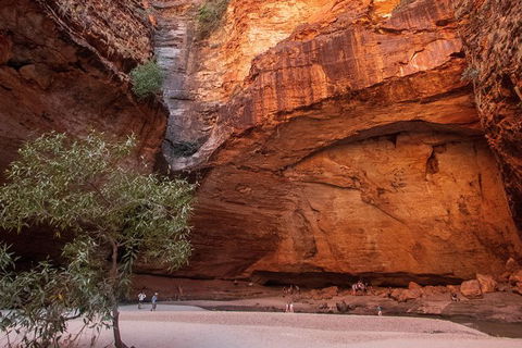 Overnight At Wilderness Lodge: Bungles, Cathedral + Echidna Chasm - Northern Rivers Accommodation 3