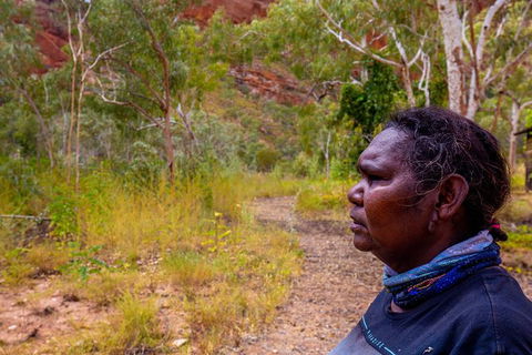 Overnight At Wilderness Lodge: Bungles, Cathedral + Echidna Chasm - Northern Rivers Accommodation 6