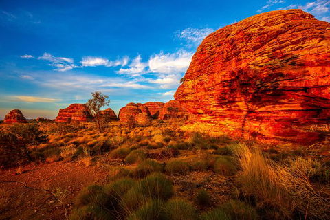 Overnight At Wilderness Lodge: Bungles, Cathedral + Echidna Chasm - Northern Rivers Accommodation 1
