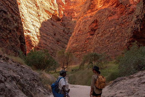 Overnight At Wilderness Lodge: Bungles, Cathedral + Echidna Chasm - Northern Rivers Accommodation 5