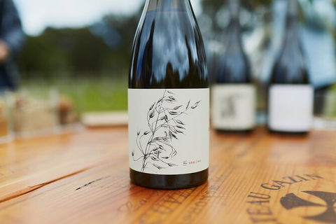 Organic Vineyard/Farm Tour - Northern Rivers Accommodation 8