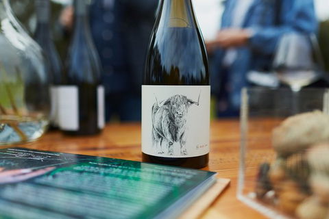 Organic Vineyard/Farm Tour - Northern Rivers Accommodation 5