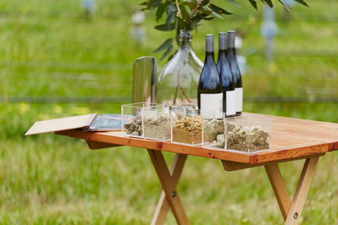 Organic Vineyard/Farm Tour - Northern Rivers Accommodation 3