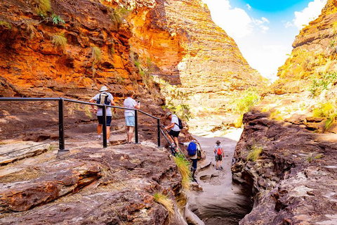 2 Nights At Bungles Wilderness Lodge - Explore The Northern & Southern Gorge - Northern Rivers Accommodation 6