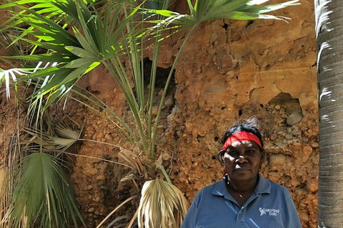 2 Nights At Bungles Wilderness Lodge - Explore The Northern & Southern Gorge - Northern Rivers Accommodation 1