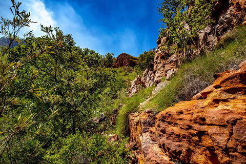 Secret Locations Tour - Northern Rivers Accommodation 9