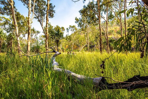 Secret Locations Tour - Northern Rivers Accommodation 4