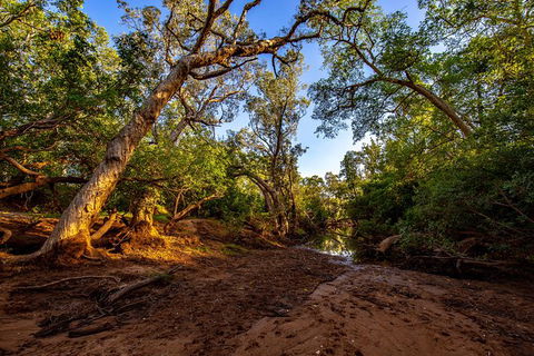 Secret Locations Tour - Northern Rivers Accommodation 7