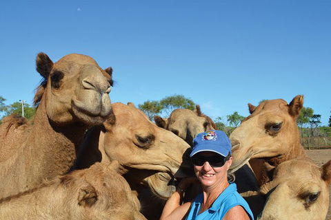 Broome Pre-sunset Camel Tour 30 Minutes - Northern Rivers Accommodation 3