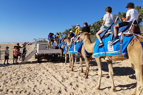 Broome Pre-sunset Camel Tour 30 Minutes - Northern Rivers Accommodation 4
