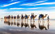 Broome Pre-sunset Camel Tour 30 Minutes - thumb 0