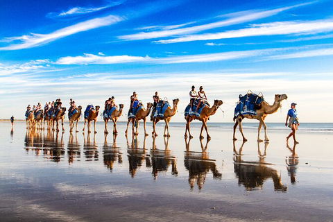 Broome Pre-sunset Camel Tour 30 Minutes - Northern Rivers Accommodation 0