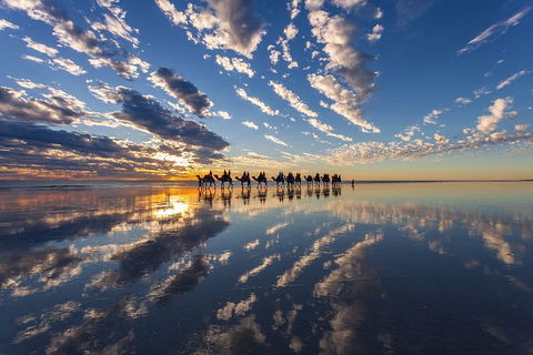 Broome Pre-sunset Camel Tour 30 Minutes - Northern Rivers Accommodation 1