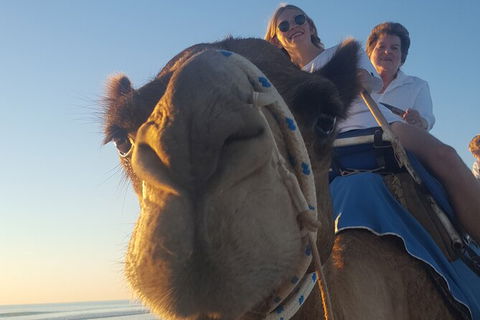 Broome Pre-sunset Camel Tour 30 Minutes - Northern Rivers Accommodation 5