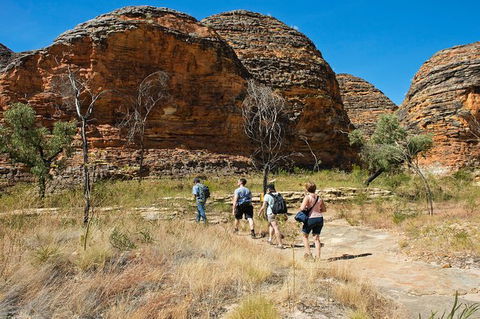 Bungle Bungle Explorer - Northern Rivers Accommodation 0