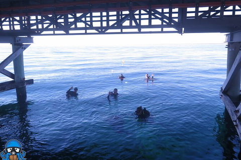 PADI Open Water Course - Northern Rivers Accommodation 3
