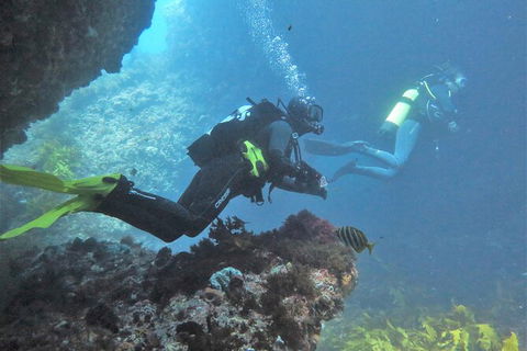 PADI Open Water Course - Northern Rivers Accommodation 2