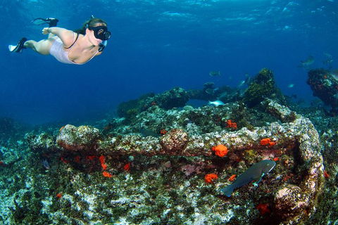 Abrolhos Islands 5 Day Tours - Northern Rivers Accommodation 3