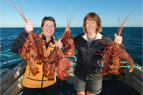 Abrolhos Islands 5 Day Tours - Northern Rivers Accommodation 0