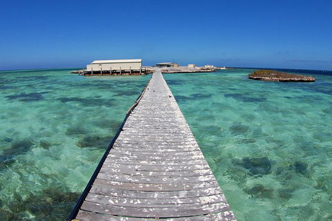 Abrolhos Islands 5 Day Tours - Northern Rivers Accommodation 4