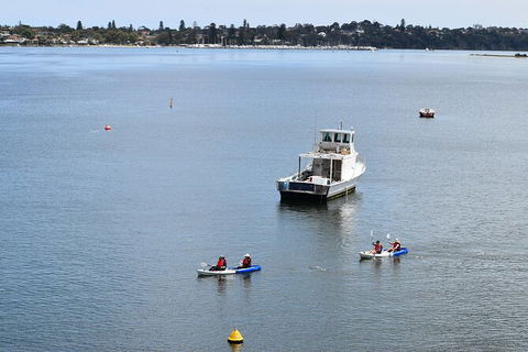 Cliffs And Caves Kayak Tour In Swan River - Northern Rivers Accommodation 5