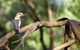Ord River Experience With Riverside Lunch - thumb 1