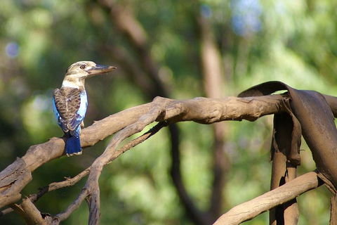 Ord River Experience With Riverside Lunch - Northern Rivers Accommodation 1