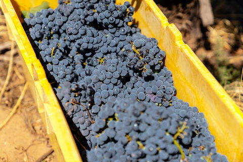 The Beautiful Swan Valley Private Day Trip: Vineyard Tour & Wine - Northern Rivers Accommodation 7
