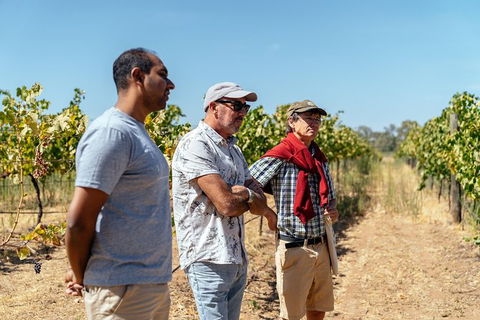 The Beautiful Swan Valley Private Day Trip: Vineyard Tour & Wine - Northern Rivers Accommodation 6