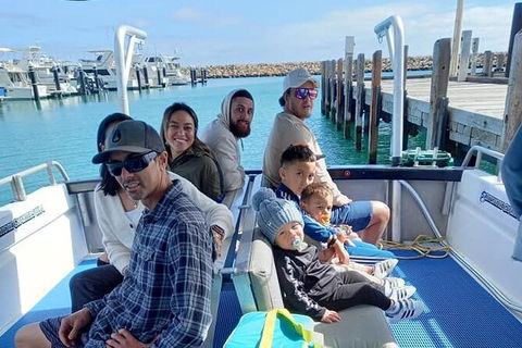 Whale Watching Boat Tour In Geraldton - Northern Rivers Accommodation 1