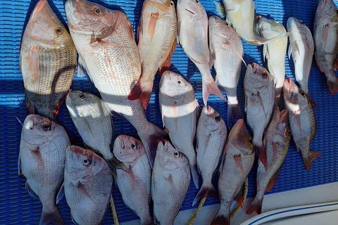 Geraldton Fishing Charter - Northern Rivers Accommodation 7