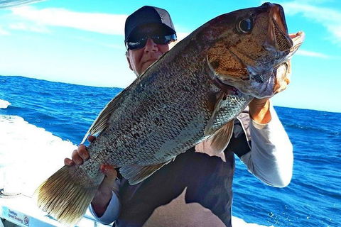Geraldton Fishing Charter - Northern Rivers Accommodation 4