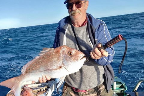 Geraldton Fishing Charter - Northern Rivers Accommodation 8
