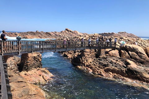 Full-Day Tour From Perth To Margaret River - Northern Rivers Accommodation 12