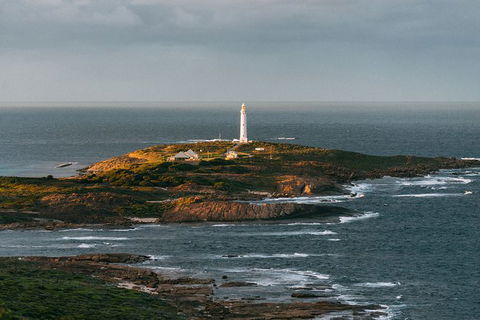 Full-Day Tour From Perth To Margaret River - Northern Rivers Accommodation 9