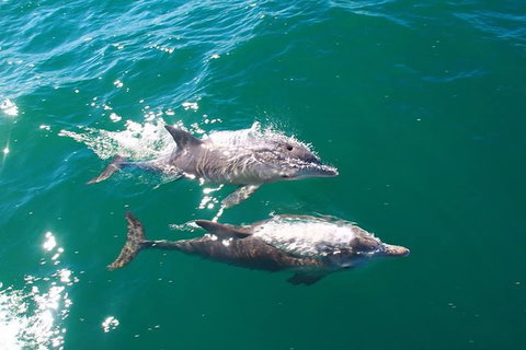 Sailing Kayak Adventure Through The Peel Harvey Estuary - Northern Rivers Accommodation 1