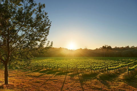 Private Barrel Hall Wine Tasting In The Margaret River Region - Northern Rivers Accommodation 3