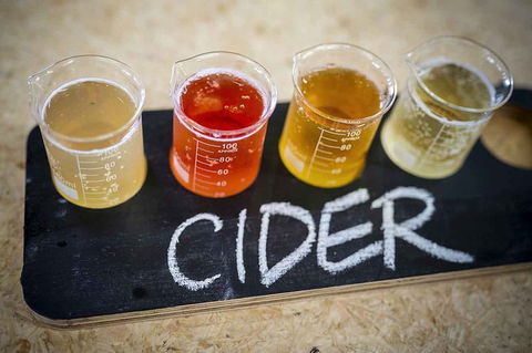 Bickley Valley Wine & Cider Tour - Premium Small Group Tour - Northern Rivers Accommodation 1