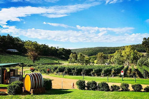Bickley Valley Wine & Cider Tour - Premium Small Group Tour - Northern Rivers Accommodation 0