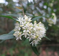 Booderee National Park - Northern Rivers Accommodation