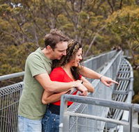 Valley of the Giants Tree Top Walk - Northern Rivers Accommodation